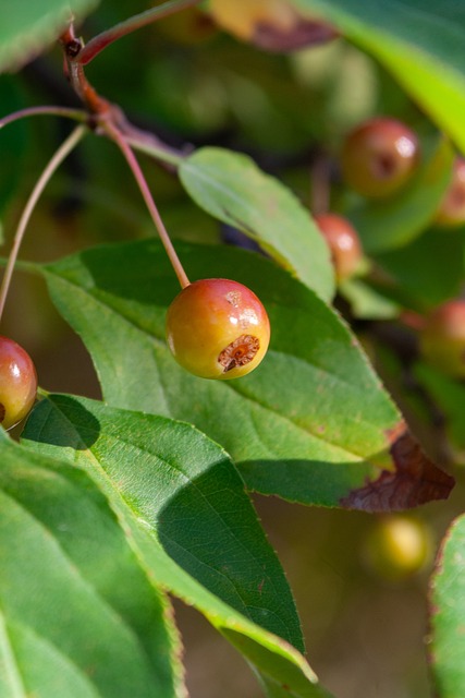 是所有球队 是所有球队