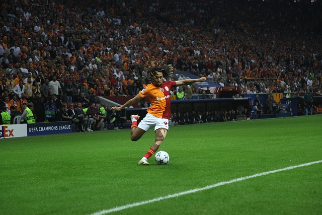 新人必须通 新人必须通