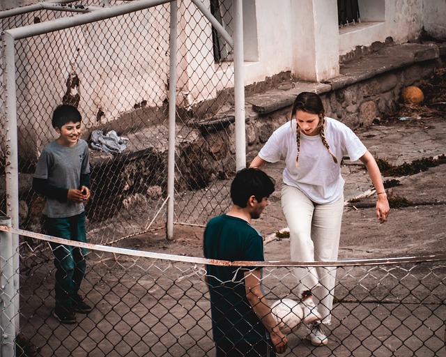 的外援选择 的外援选择