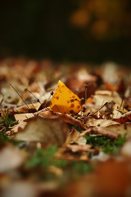 挖掘和培养 挖掘和培养