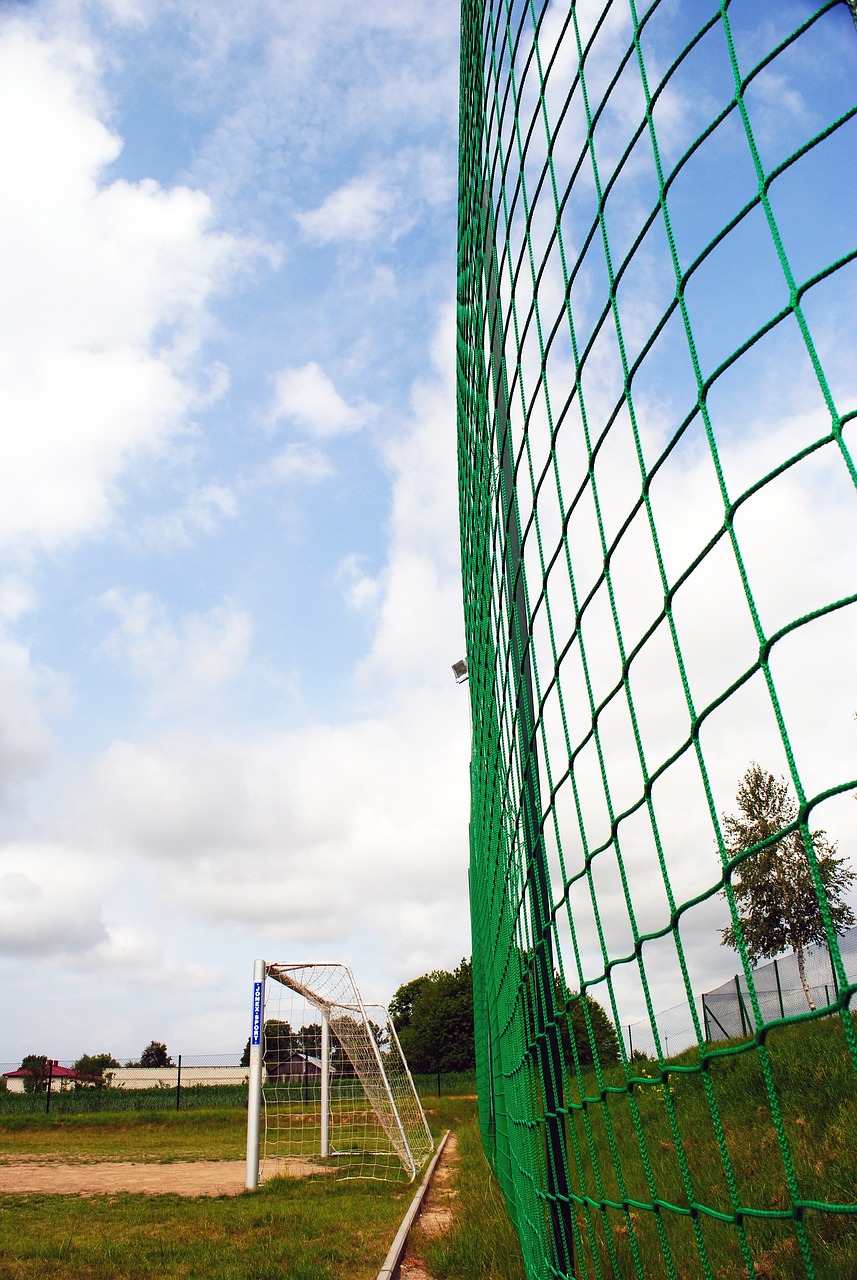 分崛起的秘 分崛起的秘