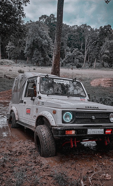 实际票务情 实际票务情