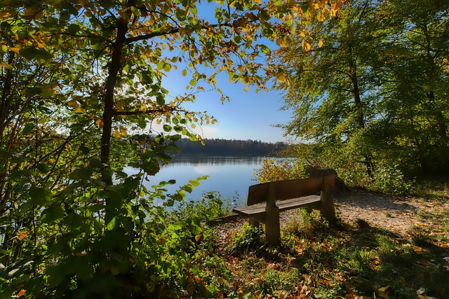 在赛季的后 在赛季的后